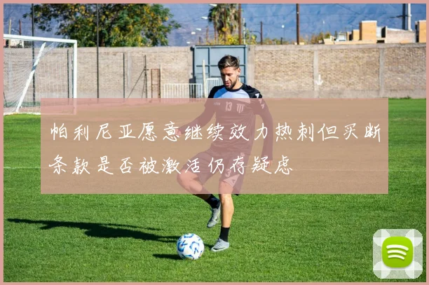 帕利尼亚愿意继续效力热刺但买断条款是否被激活仍存疑虑