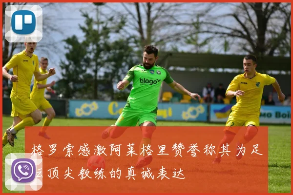 格罗索感激阿莱格里赞誉称其为足坛顶尖教练的真诚表达